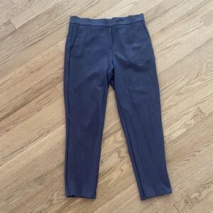 Aritzia Babaton Navy Blue Pants